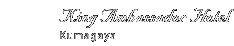 ��ʂ̃z�e���\�� �L���O�A���o�T�_�[�z�e���F�J